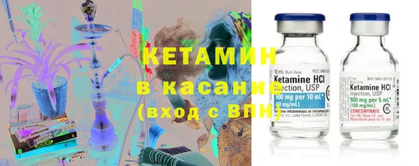 шишки Белокуриха