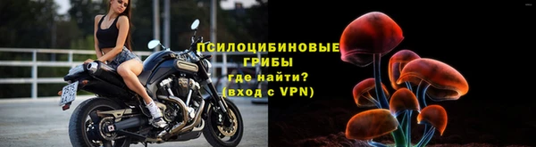 спайс Беломорск