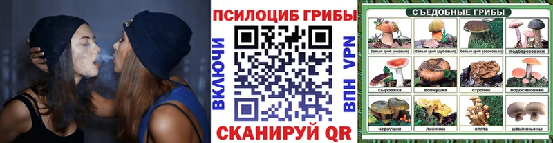 Галлюциногенные грибы мухоморы Новоалтайск
